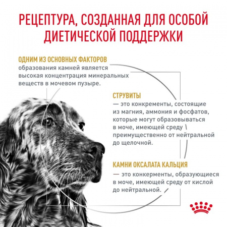 Сухой корм ROYAL CANIN Urinary S/O для взрослых собак при мочекаменной болезни, 2кг