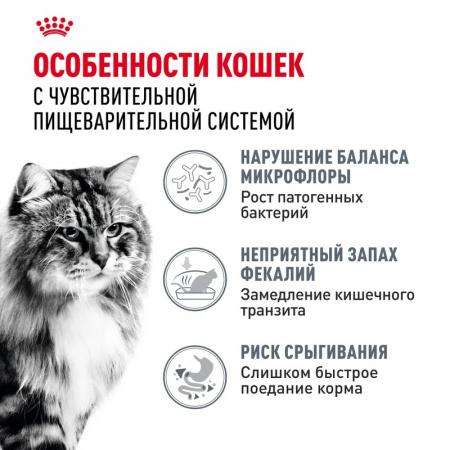 Сухой корм ROYAL CANIN Digestive care для взрослых кошек с чувствительной пищеварительной системой старше 1 года, 400г