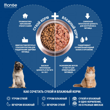 Влажный корм Monge Cat Grill для котят, с норвежским лососем, 85г