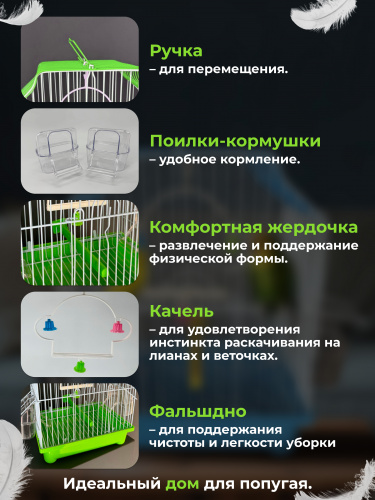 A11013(2) (зеленый)