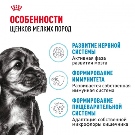 Сухой корм Royal Canin Mini Puppy для щенков мелких пород, 4кг