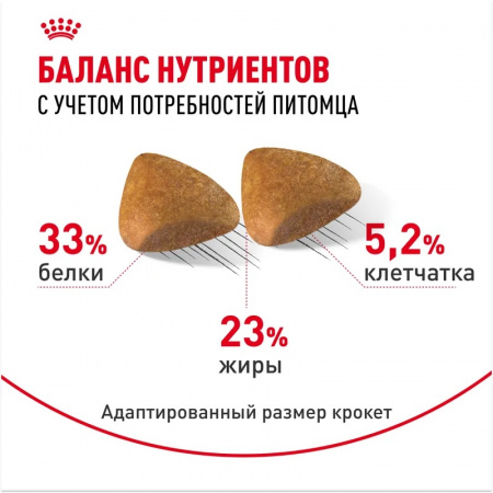 Сухой корм ROYAL CANIN Sphynx для для взрослых кошек породы Сфинкс от 12 месяцев, 10кг