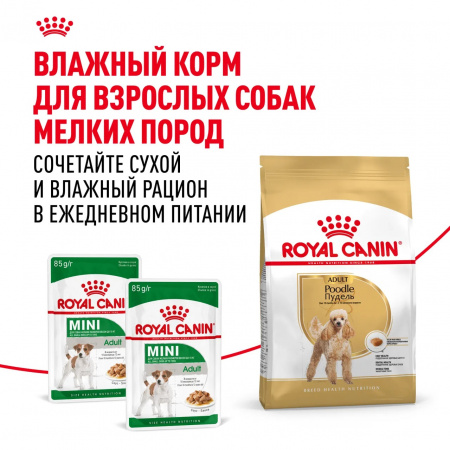 Сухой корм ROYAL CANIN Poodle Adult, для взрослых собак породы Пудель, 1,5 кг