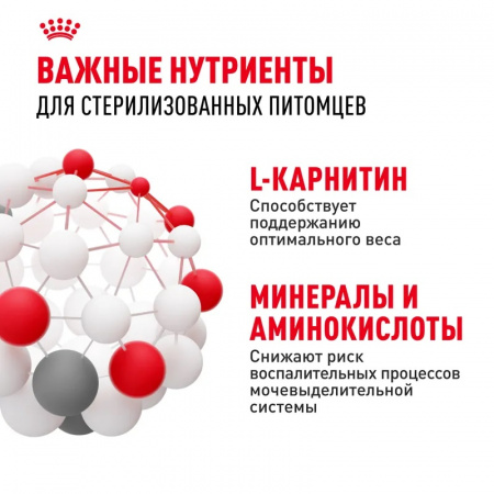 Сухой корм ROYAL CANIN Sterilised-37 для стерилизованных кошек в возрасте от 1 года до 7 лет, 400г