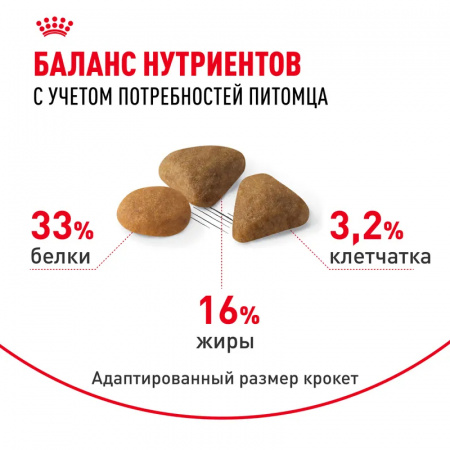 Сухой корм ROYAL CANIN Savour Exigent, для привередливых взрослых кошек от 1 года, 2кг