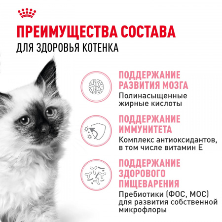 Сухой корм ROYAL CANIN Kitten для котят во второй фазе роста от 4 до 12 месяцев, 300г