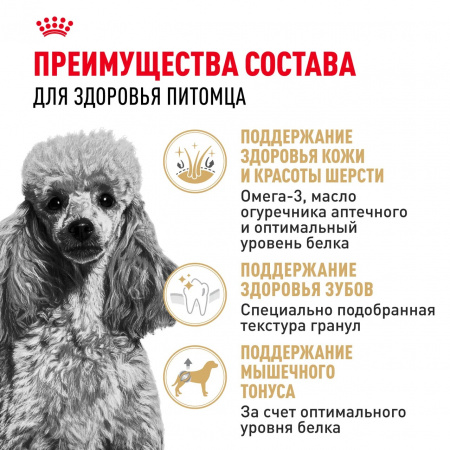 Сухой корм ROYAL CANIN Poodle Adult, для взрослых собак породы Пудель, 1,5 кг