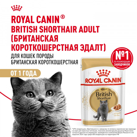 Влажный корм ROYAL CANIN British Shorthair Adult для взрослых британских короткошерстных кошек, кусочки в соусе, 85г