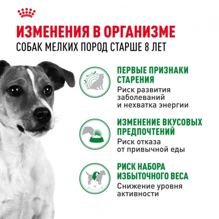 Сухой корм ROYAL CANIN Mini Adult 8+ для стареющих собак мелких пород (весом от 1 до 10 кг) в возрасте от 8 лет, 4кг
