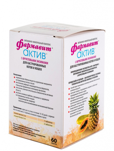актив кошки2