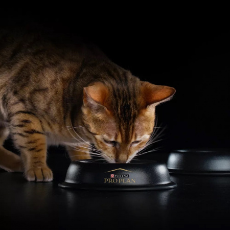 Сухой корм Purina PRO PLAN Sterilised Delicate Digestion для взрослых стерилизованных кошек, с чувствительным пищеварением, 1,5 кг