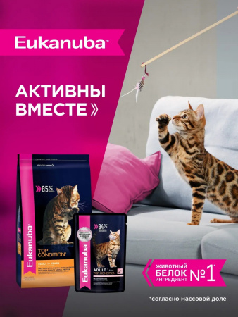 Влажный корм EUKANUBA Top Condition для взрослых кошек, для поддержания оптимальной формы, с лососем в соусе, 85г