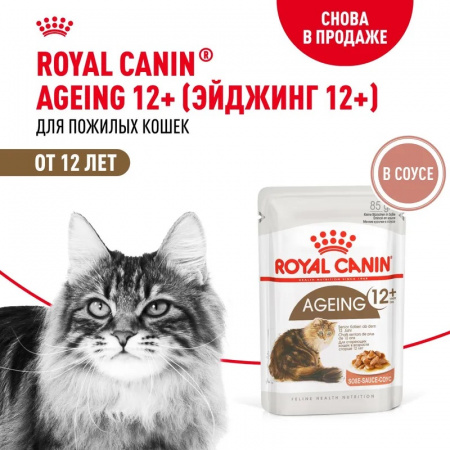 Влажный корм ROYAL CANIN Ageing 12+для стареющих кошек в возрасте старше 12 лет, мелкие кусочки в соусе, 85г