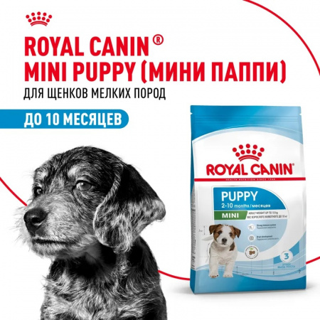 Сухой корм Royal Canin Mini Puppy для щенков мелких пород, 4кг