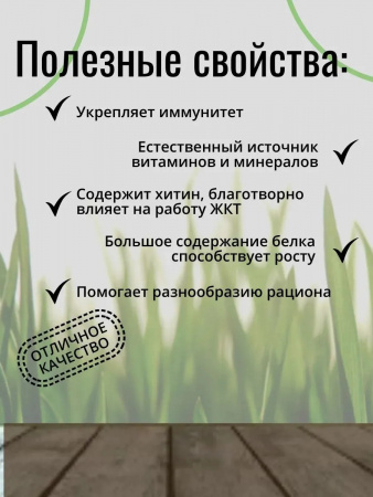 Лакомство ONTO для насекомоядных животных, Чёрная львинка, консервированная, 40г