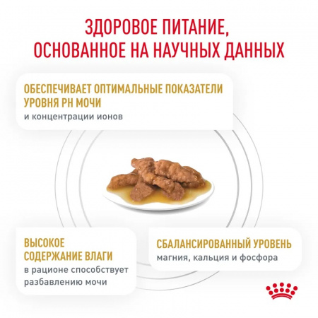 Влажный корм ROYAL CANIN Urinary S/O для взрослых кошек при мочекаменной болезни, соус, 85г