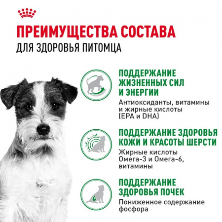 Влажный корм ROYAL CANIN Mini Ageing 12+ для пожилых собак мелких пород кусочки в соусе 85г