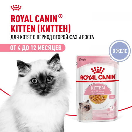Влажный корм ROYAL CANIN Kitten, для котят в возрасте до 12 месяцев, кусочки в желе, 85г