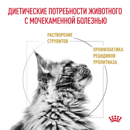 Сухой корм Royal Canin Urinary S/O сухой диетический корм для взрослых кошек, способствующий растворению струвитных мочевых камней и снижению риска их повторного образования - 350 г