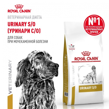 Сухой корм ROYAL CANIN Urinary S/O для взрослых собак при мочекаменной болезни, 2кг