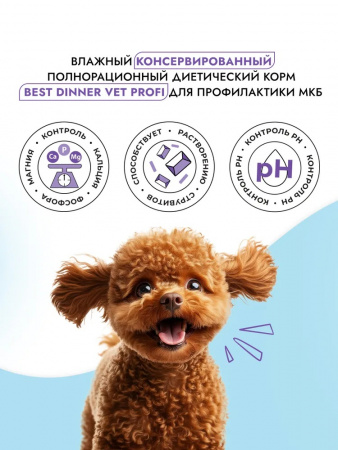 Влажный корм Best Dinner Exclusive Vet Profi Urinary для взрослых собак и щенков с 6 месяцев, профилактика мочекаменной болезни, индейка с картофелем, 100г