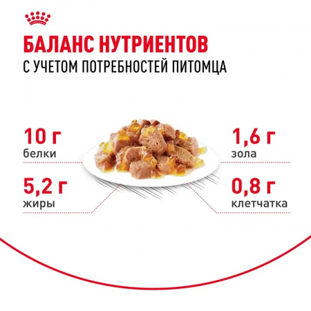 Влажный корм ROYAL CANIN Ageing 12+ для стареющих кошек в возрасте старше 12 лет, желе, 85г