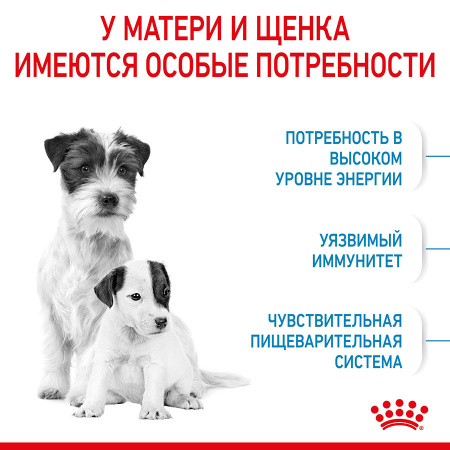 Сухой корм ROYAL CANIN Mini Starter Mother & Babydog, для собак мелких размеров (весом до 10 кг) в конце беременности и в период лактации, а также для щенков в период отъема от матери и до 2-х месячного возраста, 1кг