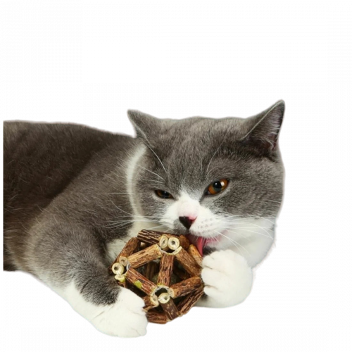 епвв-PhotoRoom.png-PhotoRoom