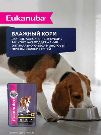 Сухой корм EUKANUBA для щенков мелких и средних пород до 12 месяцев, с ягненком, 3 кг
