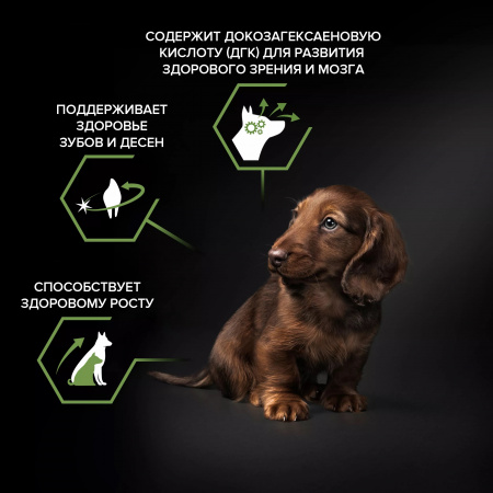 Сухой корм Purina PRO PLAN Healthy Start для щенков мелких и карликовых пород, с курицей, 700 г
