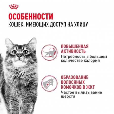Сухой корм ROYAL CANIN FIT-32, для взрослых кошек с умеренной активностью, имеющих доступ на улицу, 200г