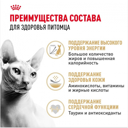 Сухой корм ROYAL CANIN Sphynx для для взрослых кошек породы Сфинкс от 12 месяцев, 10кг