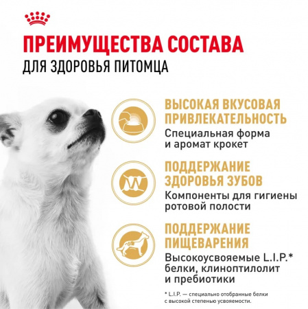 Сухой корм ROYAL CANIN Chihuahua Adult, для взрослых собак породы Чихуахуа от 8 месяцев, 500г
