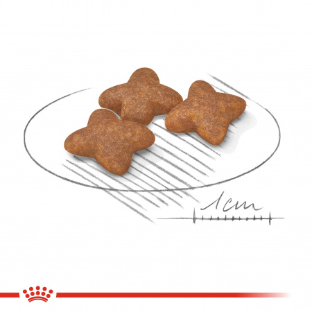Сухой корм ROYAL CANIN Mini Adult, для взрослых собак мелких размеров от 10 месяцев, 800г.