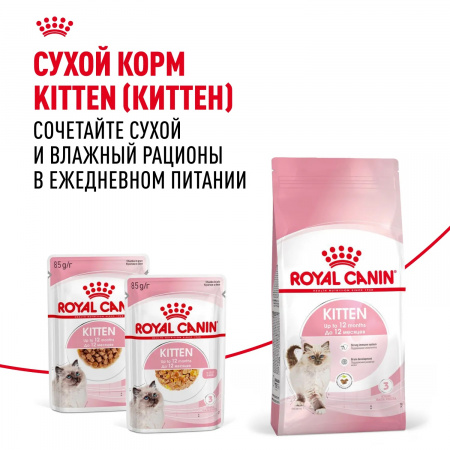 Влажный корм ROYAL CANIN Kitten, для котят в возрасте до 12 месяцев, кусочки в желе, 85г