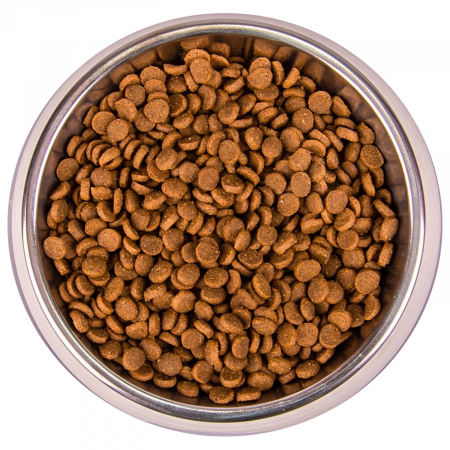 Сухой корм Monge Cat Speciality Line Monoprotein для котят и беременных кошек, из форели, 1,5 кг