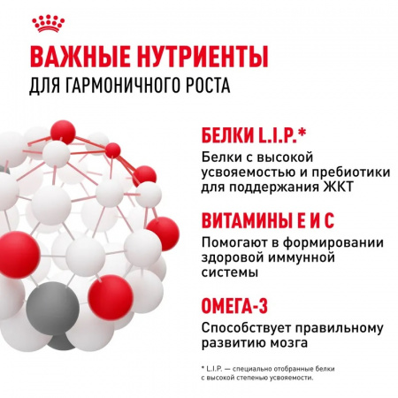 Влажный корм ROYAL CANIN Mini Puppy для щенков мелких пород в возрасте до 10 месяцев, кусочки в соусе 85г