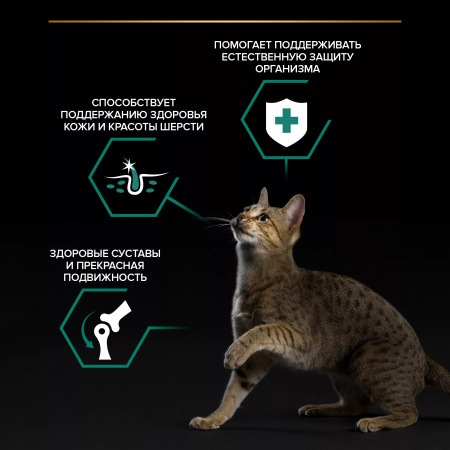 Влажный корм Purina PRO PLAN для взрослых кошек, с ягненком в желе, 85г