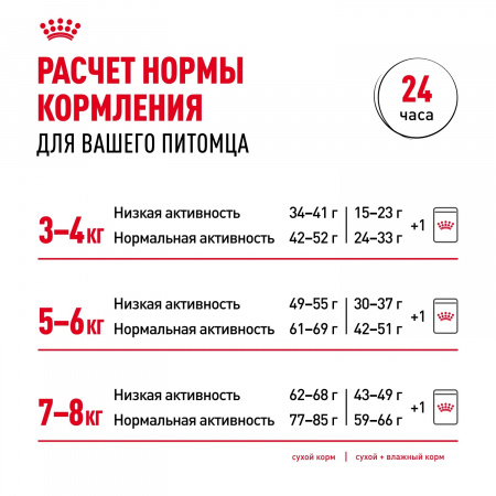 Влажный корм ROYAL CANIN British Shorthair Adult для взрослых британских короткошерстных кошек, кусочки в соусе, 85г