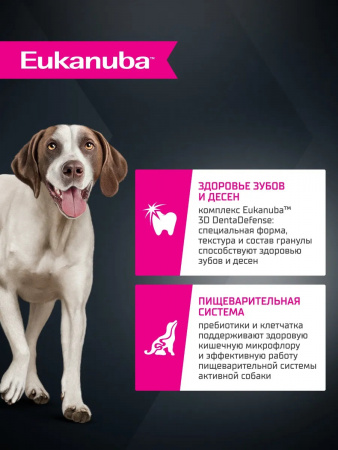 Сухой корм EUKANUBA для взрослых собак крупных и очень крупных пород, с ягненком, 3 кг