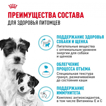 Сухой корм ROYAL CANIN Mini Starter для щенков мелких (вес взрослой собаки от 1 до 10 кг) пород до 2 мес, а также для собак крупных пород в конце беременности и в период лактации 3кг