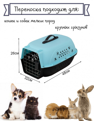 HP-B01S синяя 2
