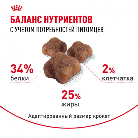 Сухой корм ROYAL CANIN Mother&Babycat, для котят в период первой фазы роста и отъема,беременных и кормящих кошек, 2 кг