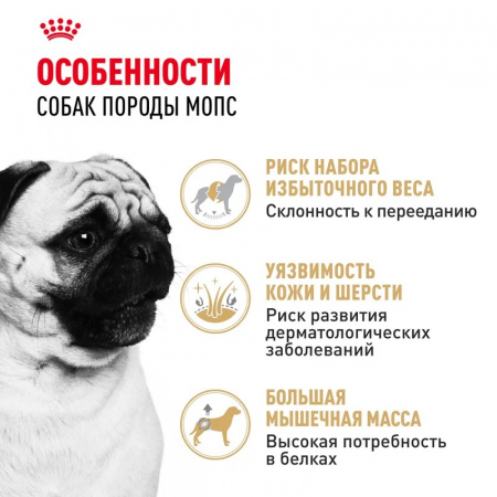 Сухой корм ROYAL CANIN Pug Adult, для взрослых собак породы Мопс от 10 месяцев, 1.5кг