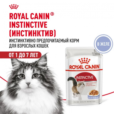 Влажный корм ROYAL CANIN Instinctive для взрослых кошек, кусочки в желе, 85г