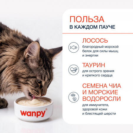 Лакомство Wanpy Cat для взрослых кошек, нежное пюре из лосося с семенами чиа и водорослями, 70г