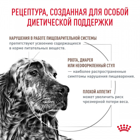 Влажный корм ROYAL CANIN Gastrointestinal для взрослых собак, при расстройствах пищеварения, паштет, 85г