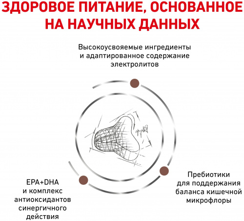 При запорах4