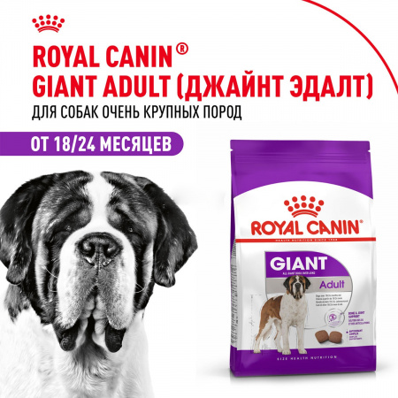 Сухой корм ROYAL CANIN GIANT ADULT для взрослых собак крупных пород, 15кг