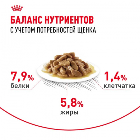Влажный корм ROYAL CANIN Mini Puppy для щенков мелких пород в возрасте до 10 месяцев, кусочки в соусе 85г
